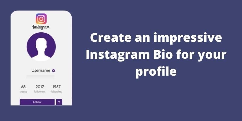 100+ Instagram Bios Ideas | 5 Tips To Write A Perfect Instagram Bio