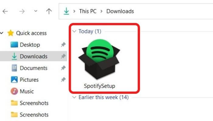 SpotifySetup.exe file