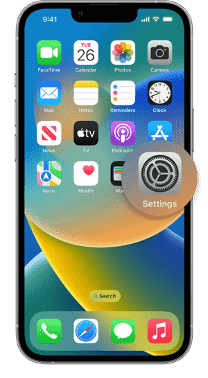 iPhone setting icon