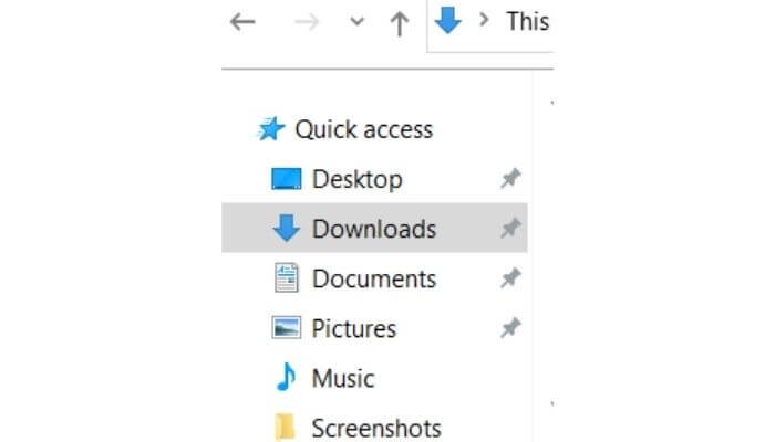 Downloads Window in PC