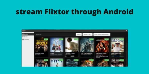 stream Flixtor on Roku-1