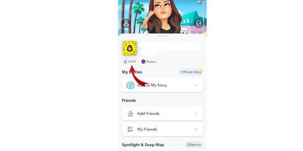Snap profile showing Snap Score Calculated 