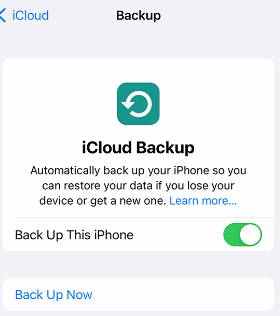 iPhone iCloud backup option