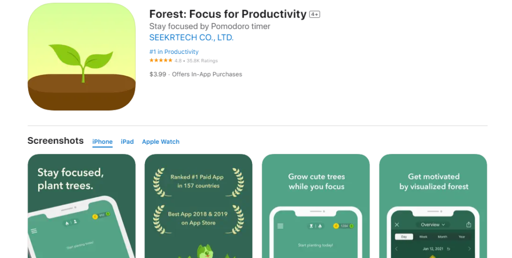 Forest - your focus motivation